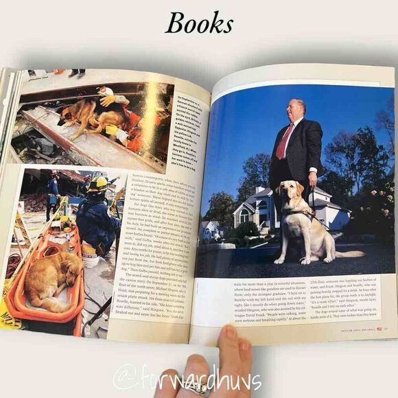 Life Magazine - One Nation: America Remembers 911 - Picture 5 of 10